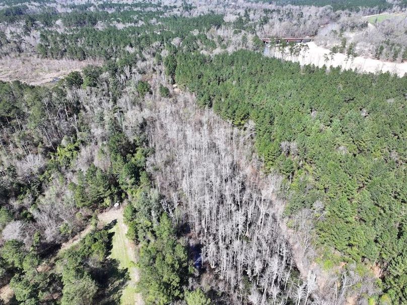 dji_fly_20260224_113204_0322_1772209050652_photo