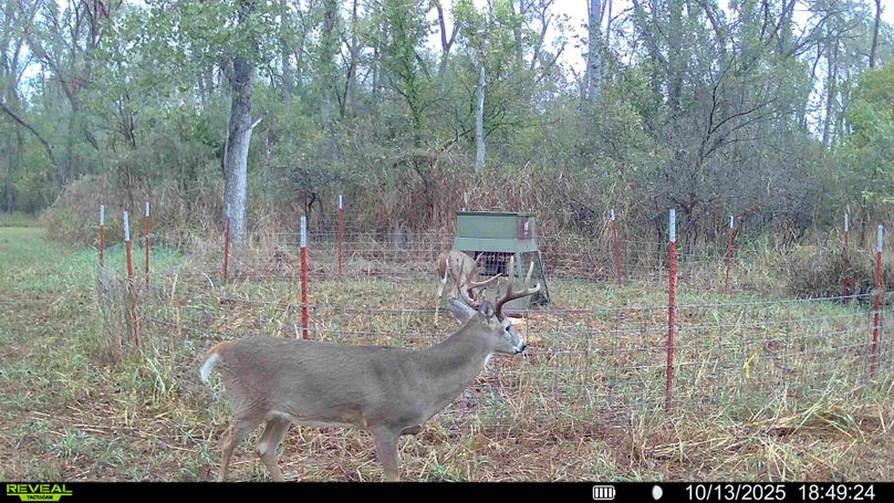 016687000319968-86-3-10132025185049-HD-SYFW00317