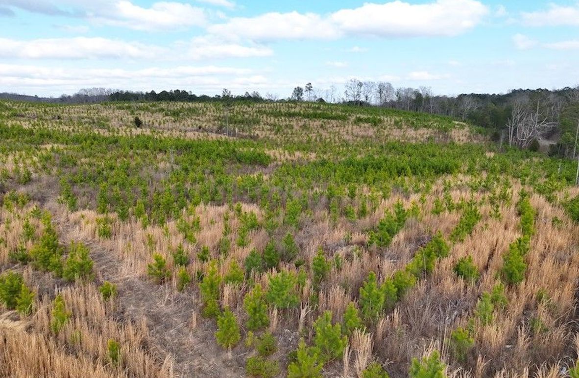 DJI_20260303144358_0004_V