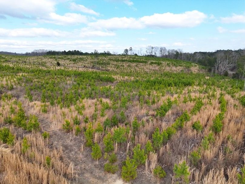 DJI_20260303144358_0004_V