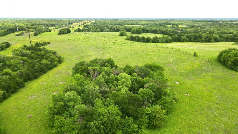 dji_fly_20230428_161054_860_1682716281042_photo