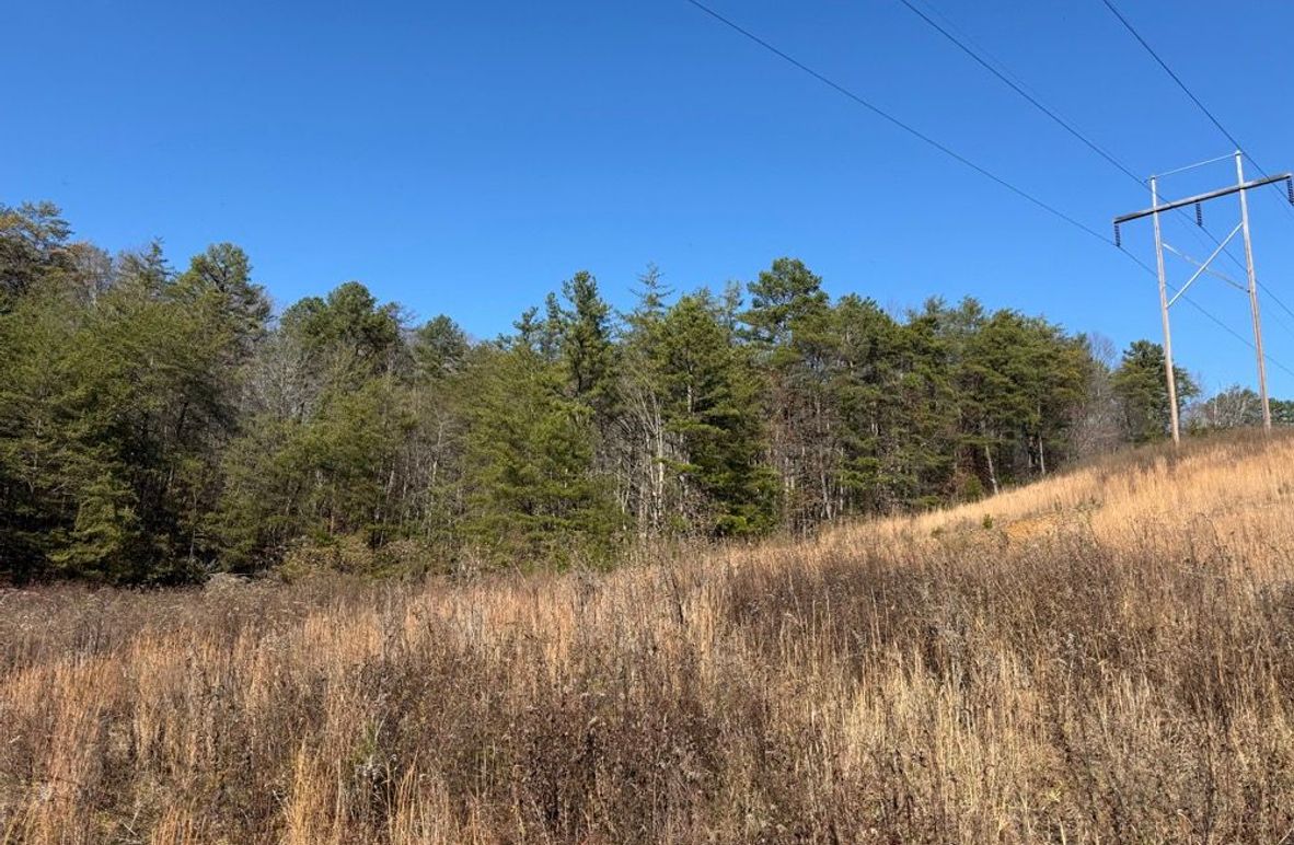 005 view under the powerline, perfect for a foodplot