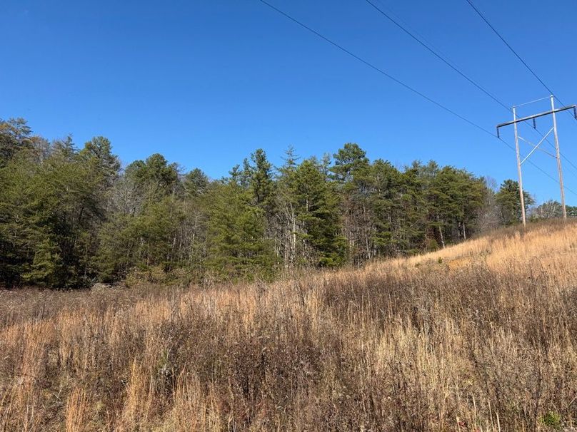 005 view under the powerline, perfect for a foodplot