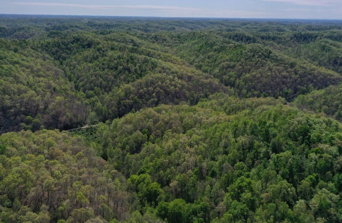005 aerial drone shot from the west boundary looking east down the valley