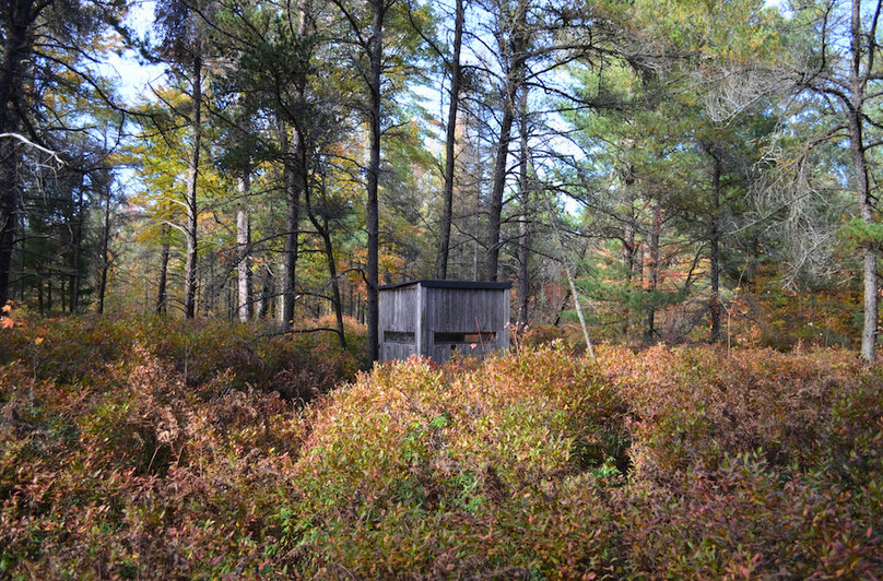 Screenshot 2025-11-14 at 11.32.25 AM