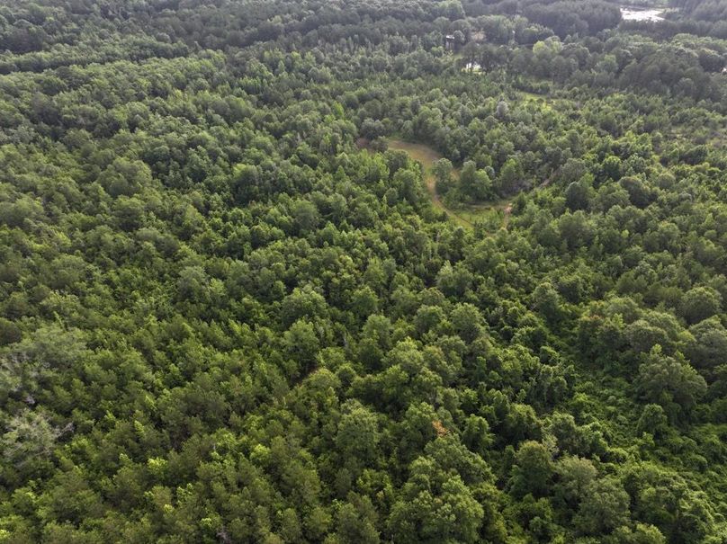 dji_fly_20250612_080344_0087_1750261390876_photo