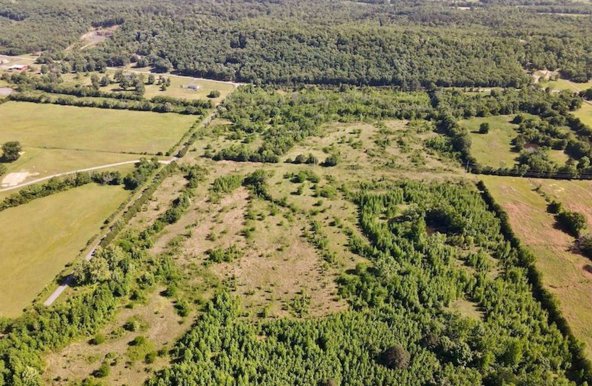 dji_fly_20260513_163242_130_1778780251978_photo
