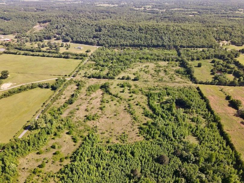 dji_fly_20260513_163242_130_1778780251978_photo