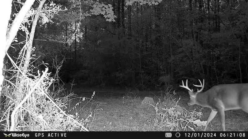 522197231_10161246518906875_1807807231926630892_n