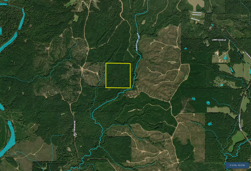 Screen Shot 2023-02-03 at 10.30.51 PM