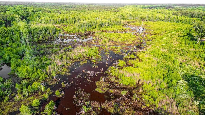 Carolina Homestead Horry-03