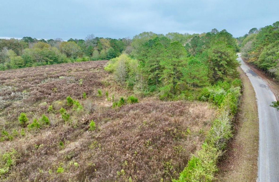 00C02119-0401-4C5E-8162-9250A9467671_1_201_a-2