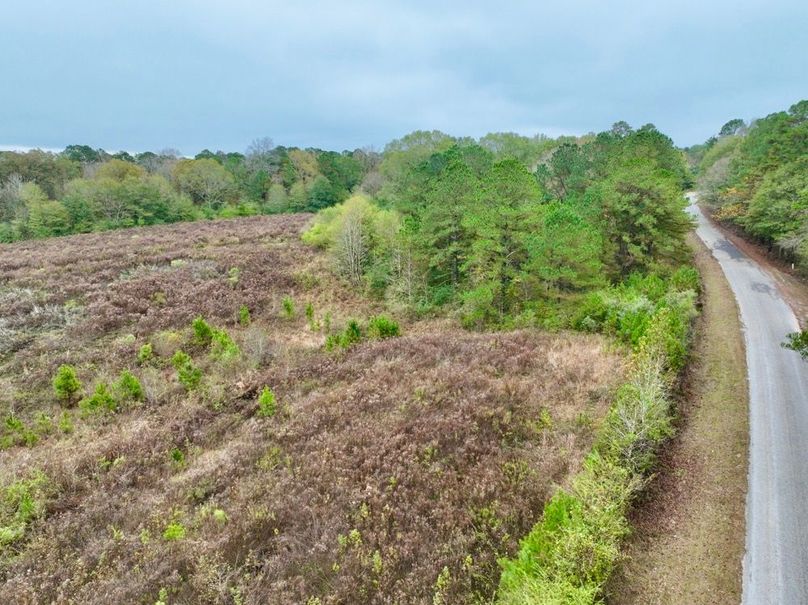 00C02119-0401-4C5E-8162-9250A9467671_1_201_a-2