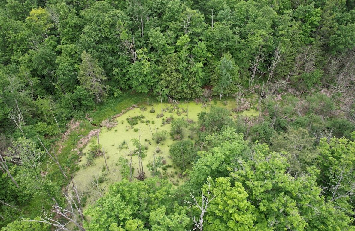 Schuyler_54.61_Morrow_Photos_3