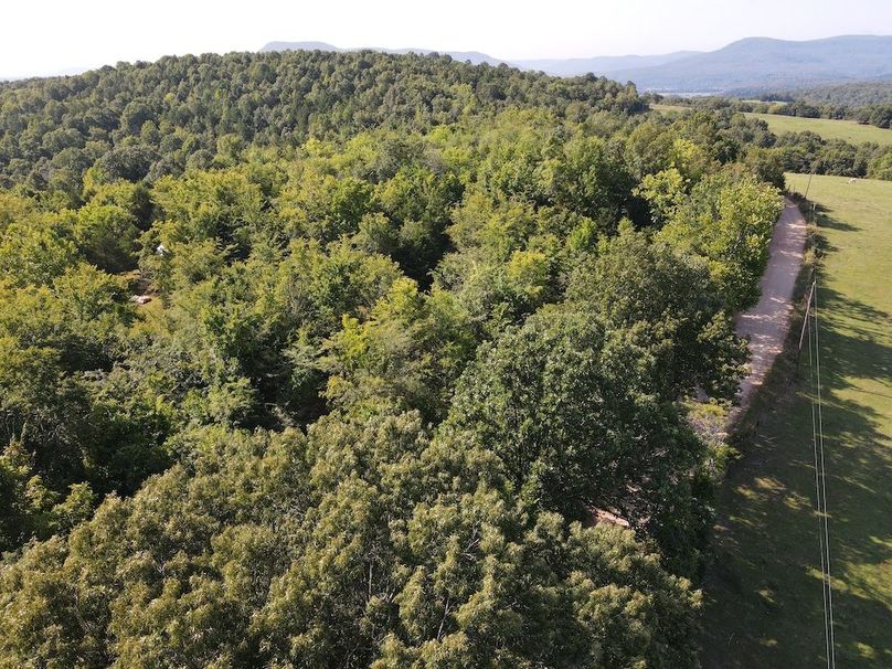 dji_fly_20240808_094926_288_1723128609842_photo