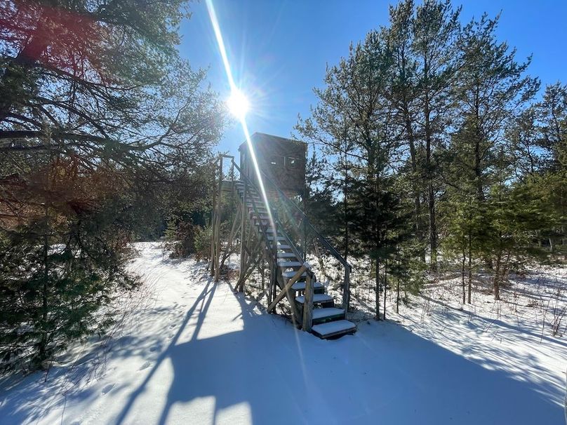 Adams 25, Nessler -28