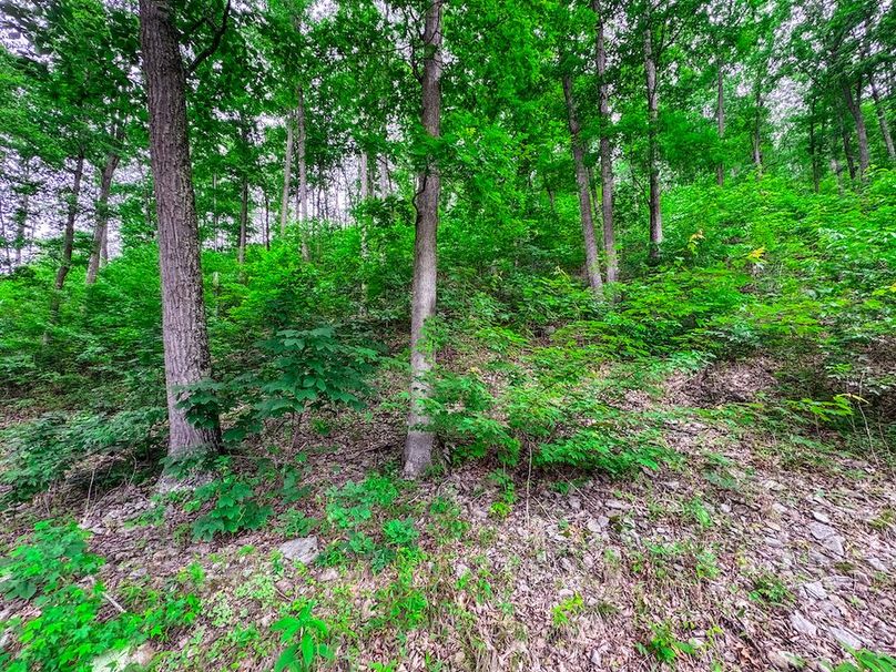 Clay, WV 14.839 AC-15