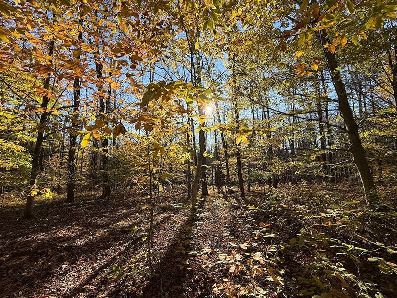 Oswego_26.28_Koehler Photo 25