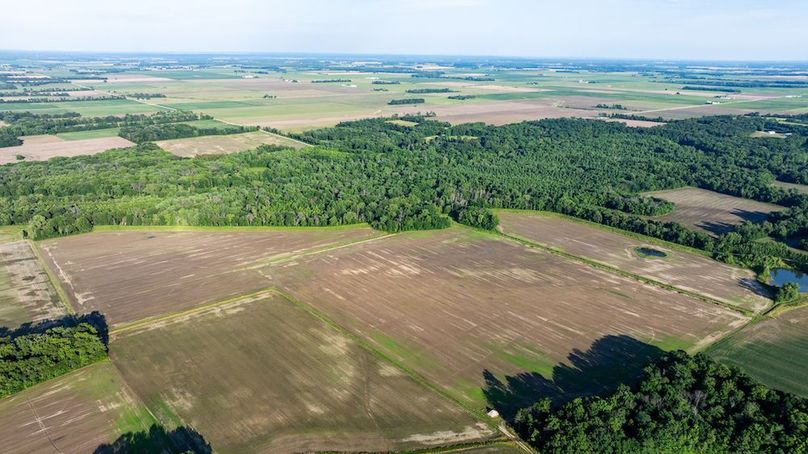 DJI_20250620054851_0011_D