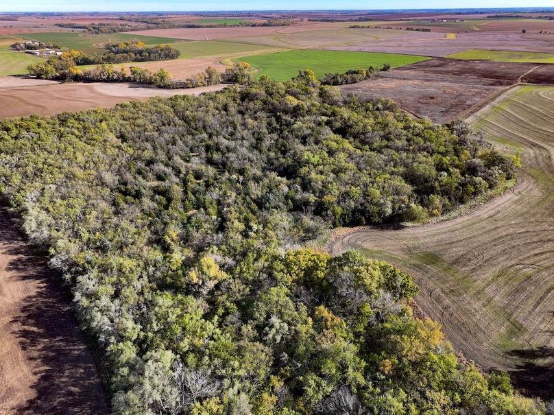 Dickinson Co, 154.5_026