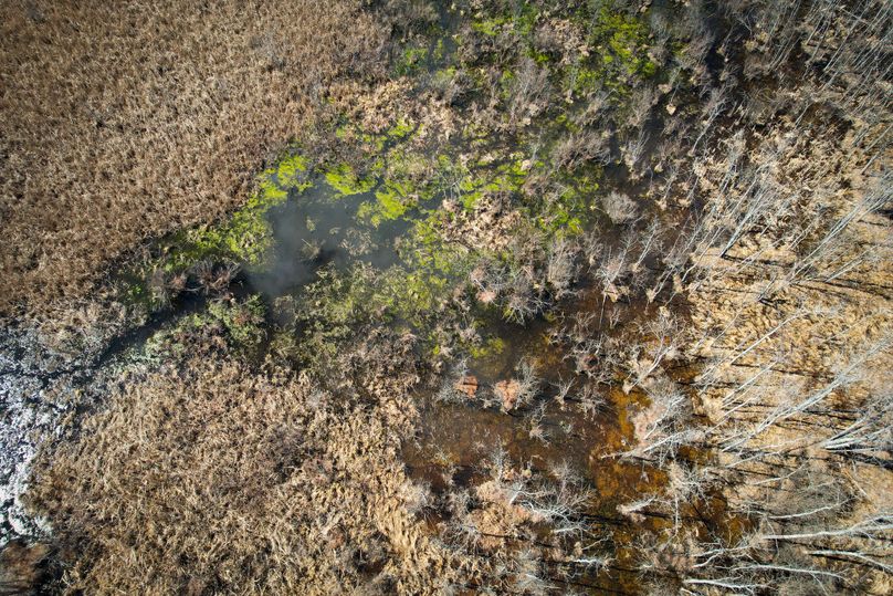 Oswego_165.52_Lashomb_Photos_28