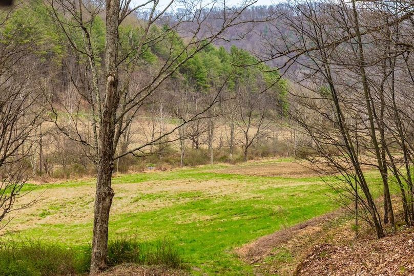 44-web-or-mls-IMG-44