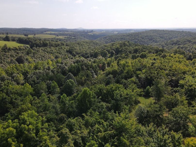 dji_fly_20240808_095738_316_1723129072189_photo