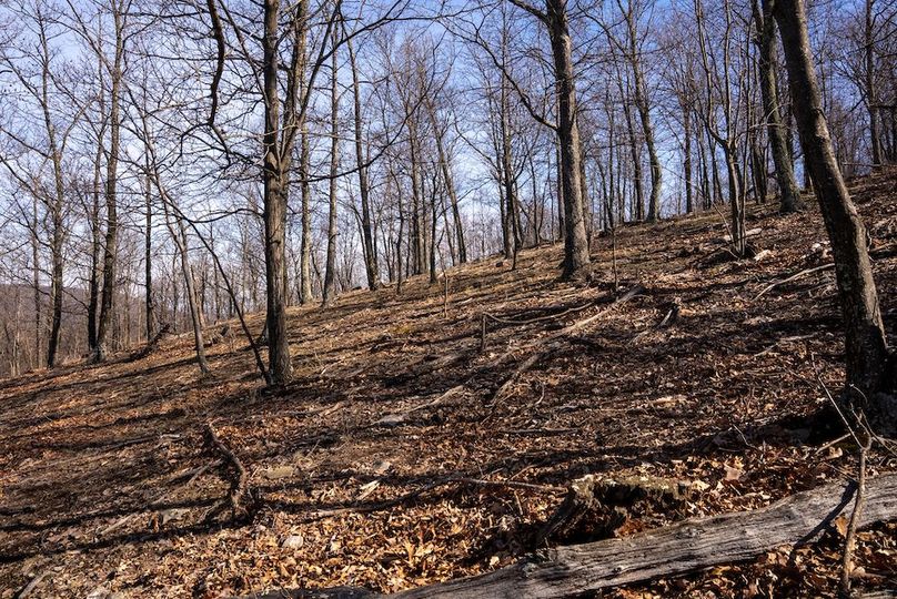 Copy of Hampshire WV 200 Featured_Pro Photo-17