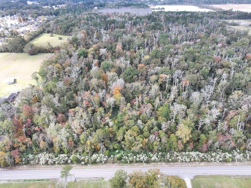 dji_fly_20251118_121418_0729_1763560718860_photo