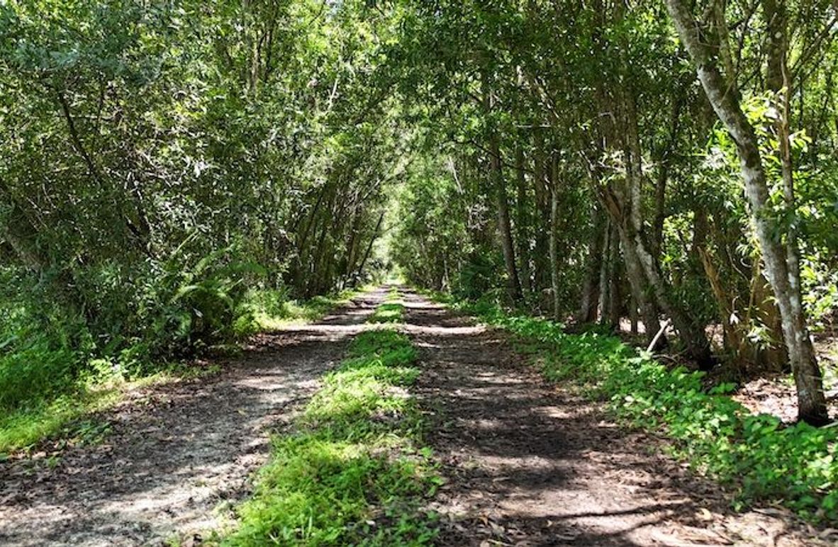 DJI_20250819132843_0004_D(1)