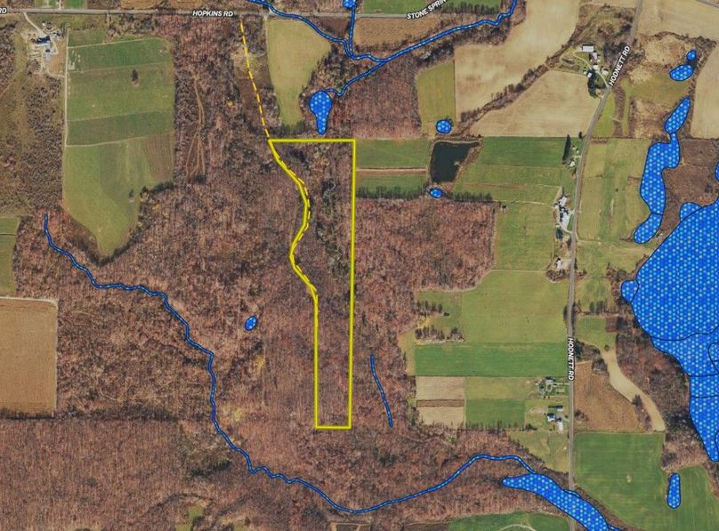 Land ID wetlands