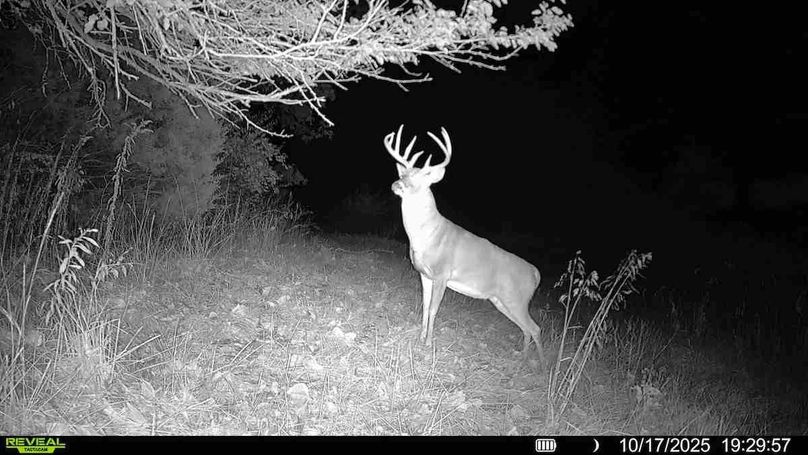 016579000632302-100-4-10172025193248-HD-SYFW02253