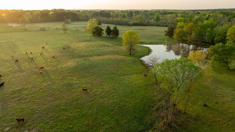 65 Marion TX 143 and 117 Featured_ProPhoto-108