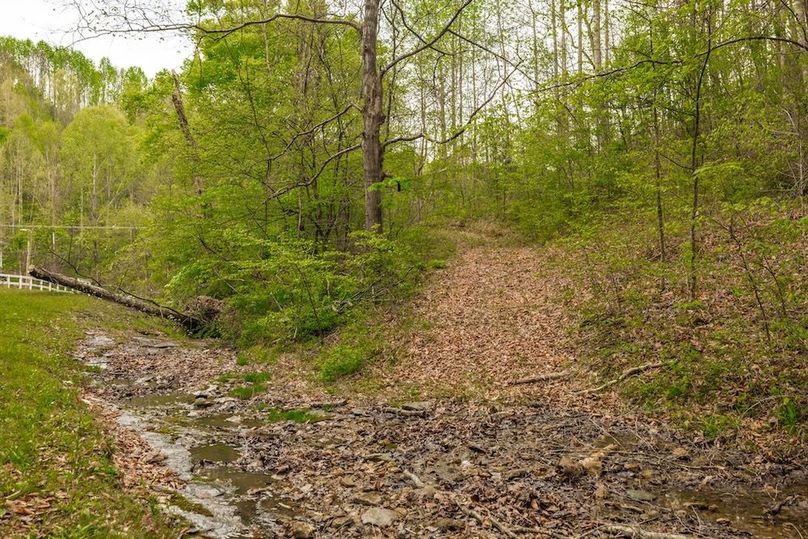 77-web-or-mls-1103 Johnny Spears Rd-80