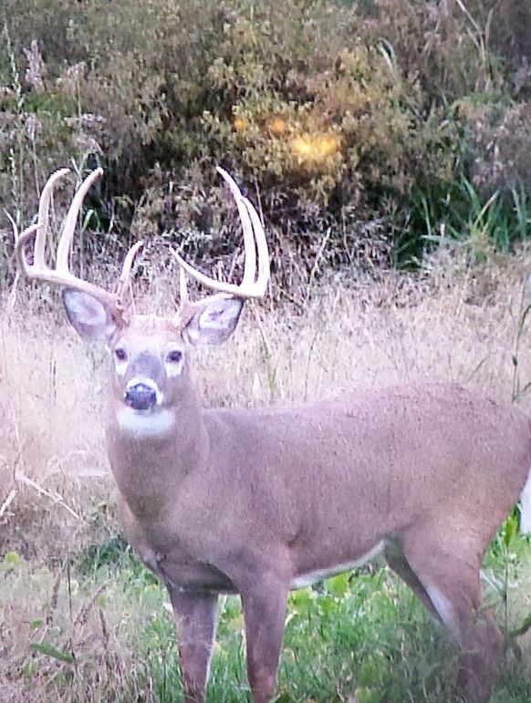 Copy of 20161010_204511