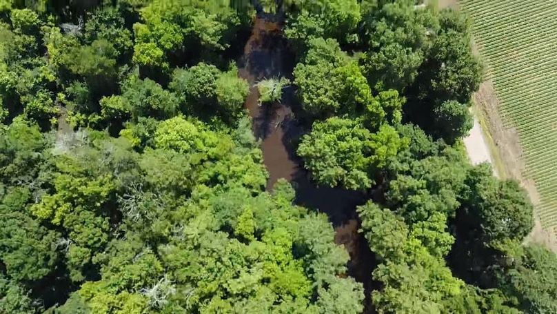 2024-06-01-10-30-47-724