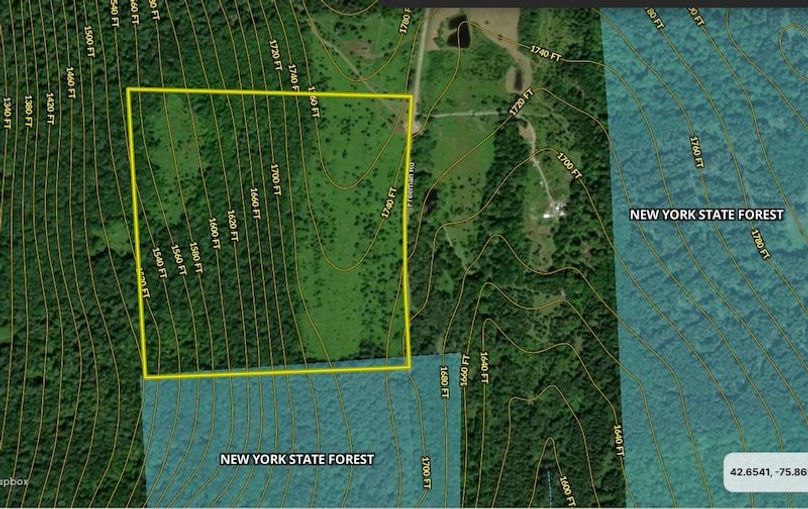 Chenango 56,09 Treiling Estate Topo