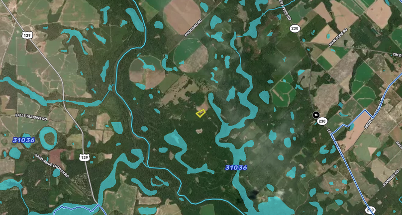 Screen Shot 2023-07-31 at 7.59.31 PM