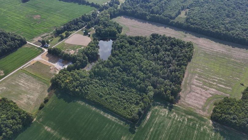 DJI_20250819172643_0931_D