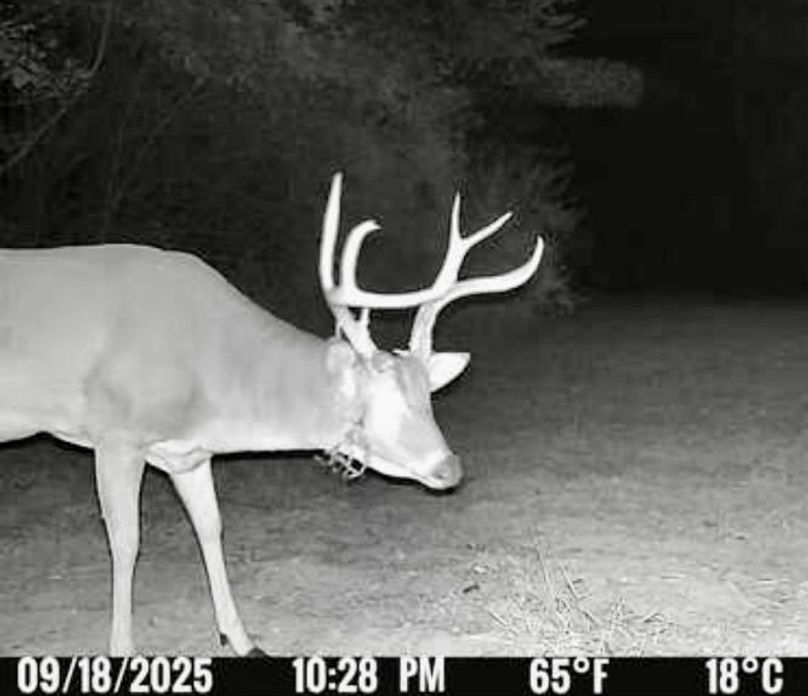 F353CAB5-A228-4EE0-8FC9-2D7E45366AC4_1_201_a