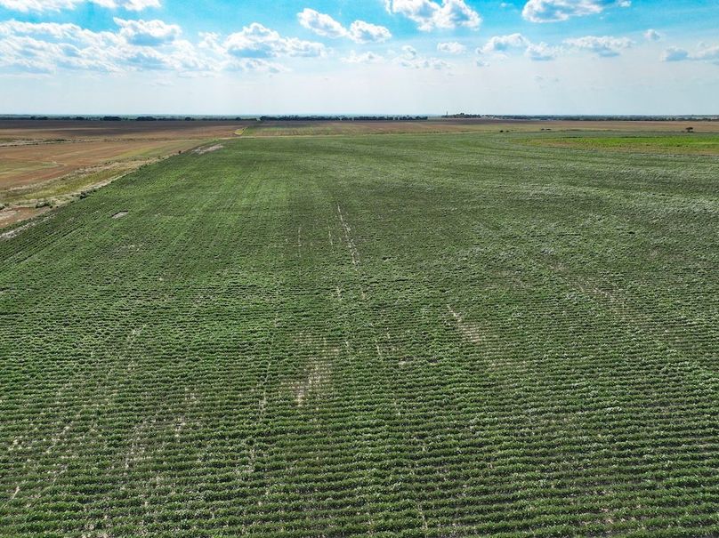 Mitchell Ks, 155.55_007