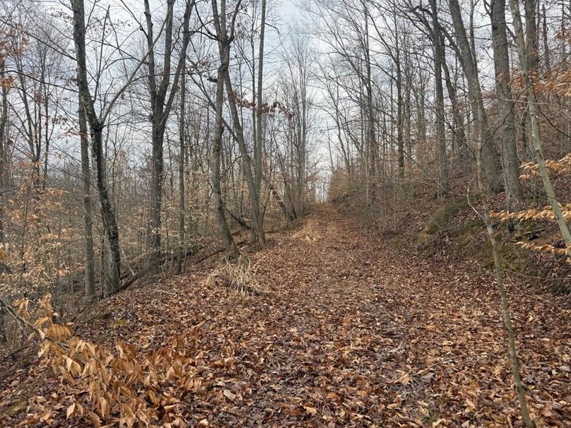 012 trail leading northeast up the hill near the south boundary