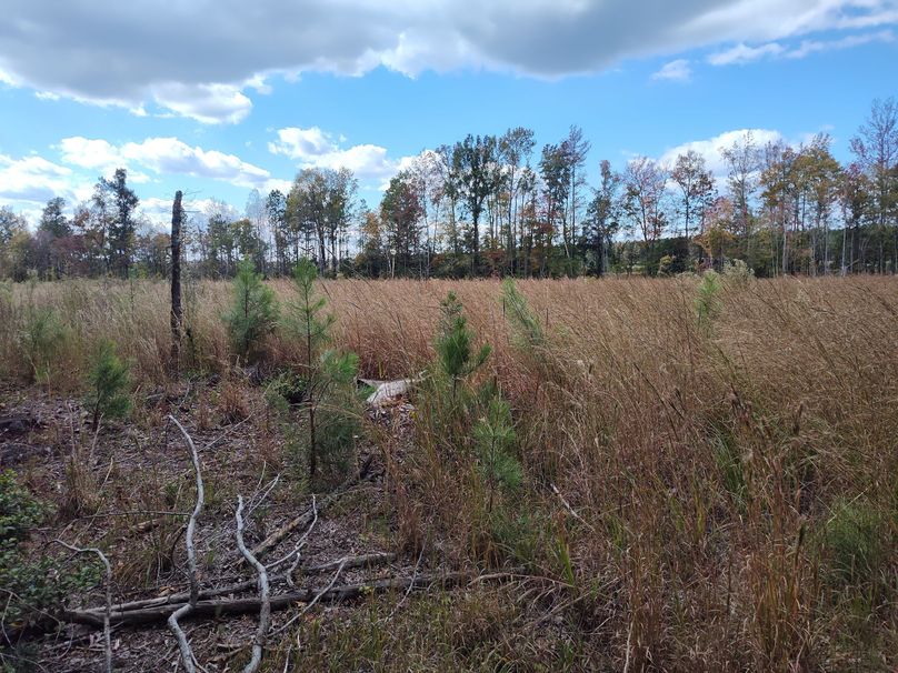 IMG_20231022_134212018