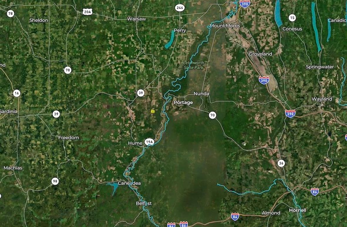 Zoomed Out