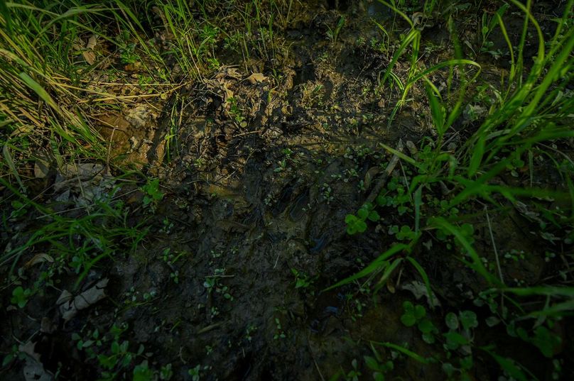 vandalia 450 (2)-3033