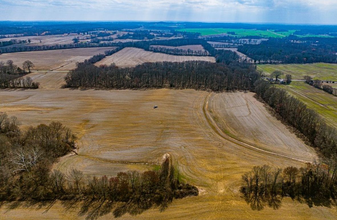 Gibson 140.5 Neese-McGuire-3