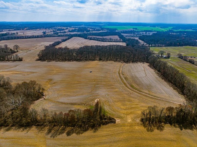 Gibson 140.5 Neese-McGuire-3