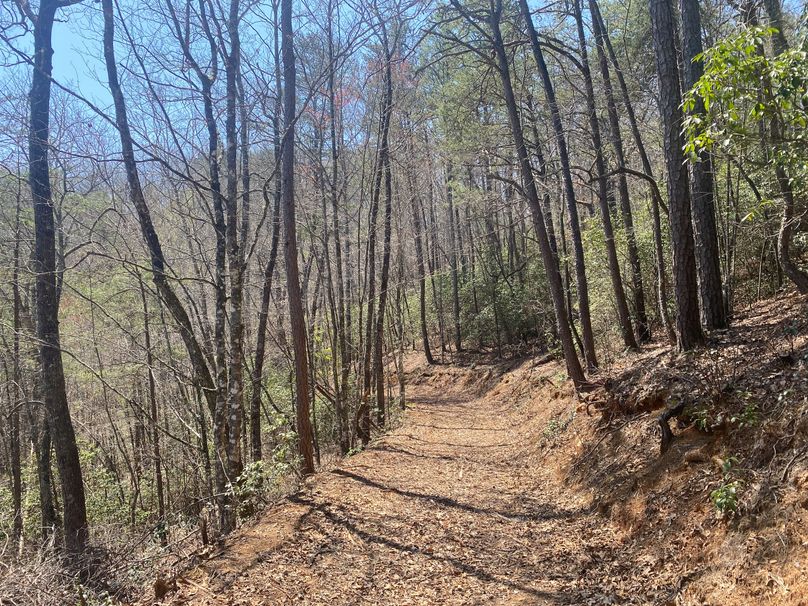 Cherokee 69.74 Stiles-17