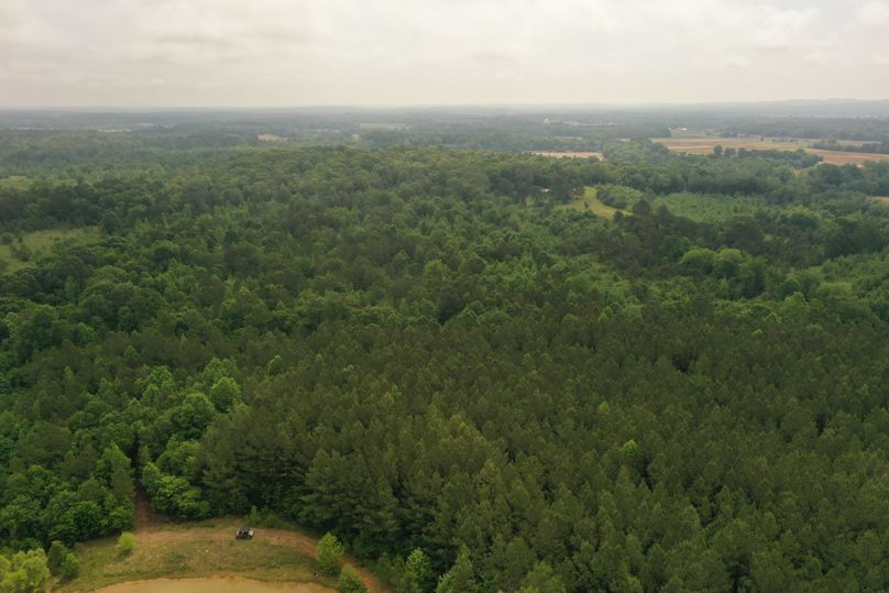 DJI_0635