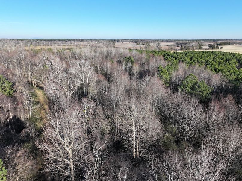 DJI_20260101162402_0318_D